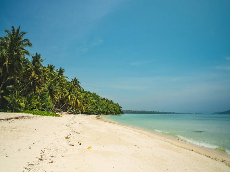Palm-lined white sand beach in the Andaman Islands