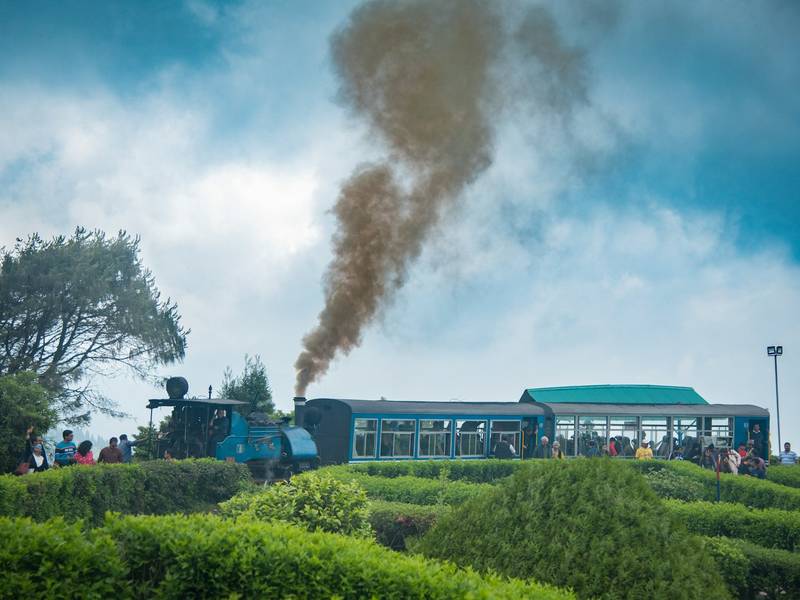 Darjeeling toy train steaming through the tea gardens