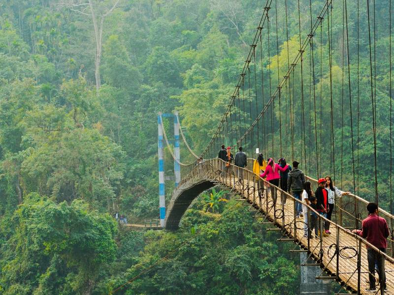 Travellers walking on a suspension bridge through a forest in Northeast India